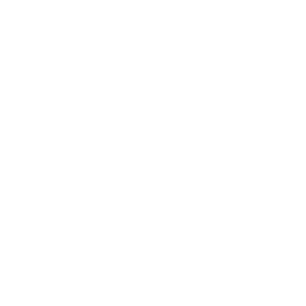 Boxschule Gebenstorf Logo